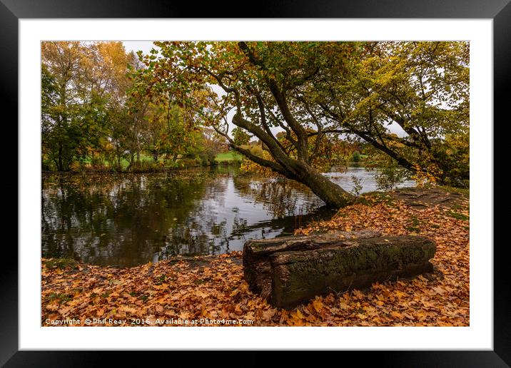 Autumn at Pittville Framed Mounted Print by Phil Reay