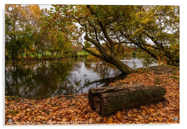 Autumn at Pittville Acrylic by Phil Reay