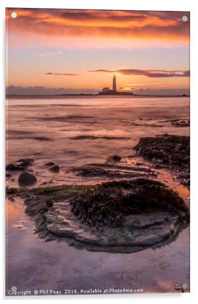 St Mary`s lighthouse at sunrise Acrylic by Phil Reay