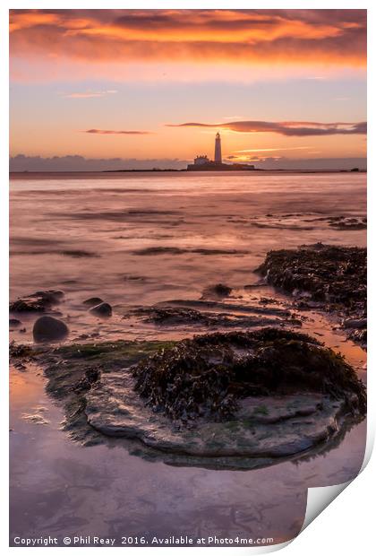 St Mary`s lighthouse at sunrise Print by Phil Reay