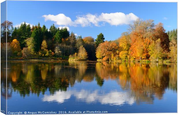 Penicuik Pond in autumn Canvas Print by Angus McComiskey
