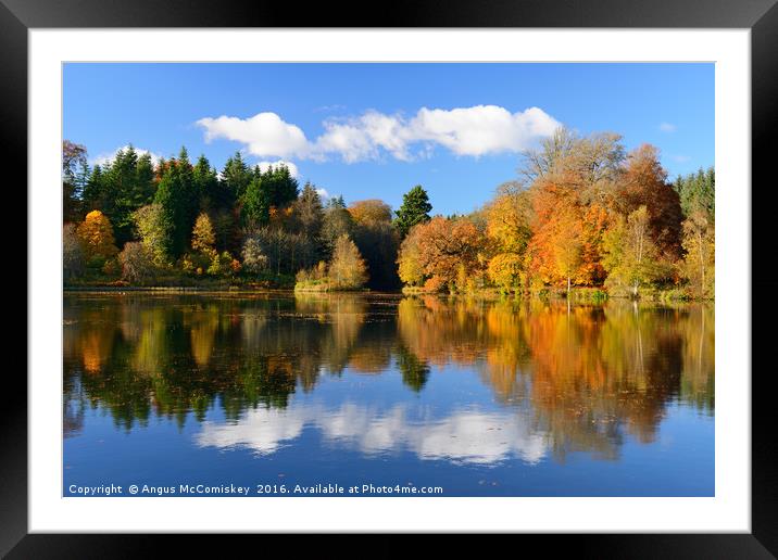 Penicuik Pond in autumn Framed Mounted Print by Angus McComiskey
