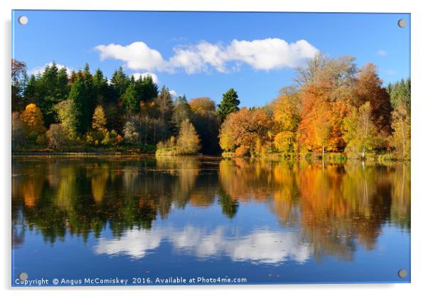 Penicuik Pond in autumn Acrylic by Angus McComiskey