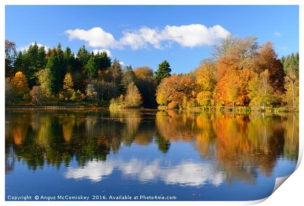 Penicuik Pond in autumn Print by Angus McComiskey