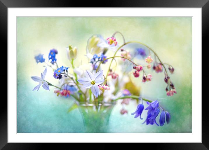 Spring flowers in a Vase Framed Mounted Print by Jacky Parker