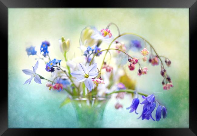 Spring flowers in a Vase Framed Print by Jacky Parker