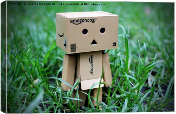Danboard / Danbo Amazon Figure searching the tall  Canvas Print by Jessica Richardson