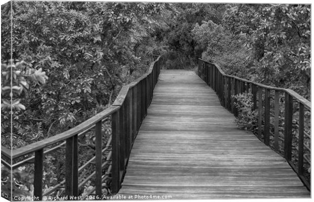 Wooden walkway Canvas Print by Richard West
