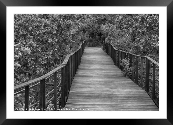 Wooden walkway Framed Mounted Print by Richard West