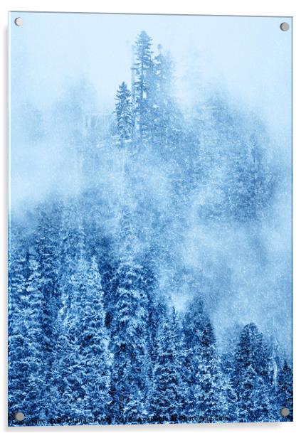 Winter Trees Acrylic by Svetlana Sewell