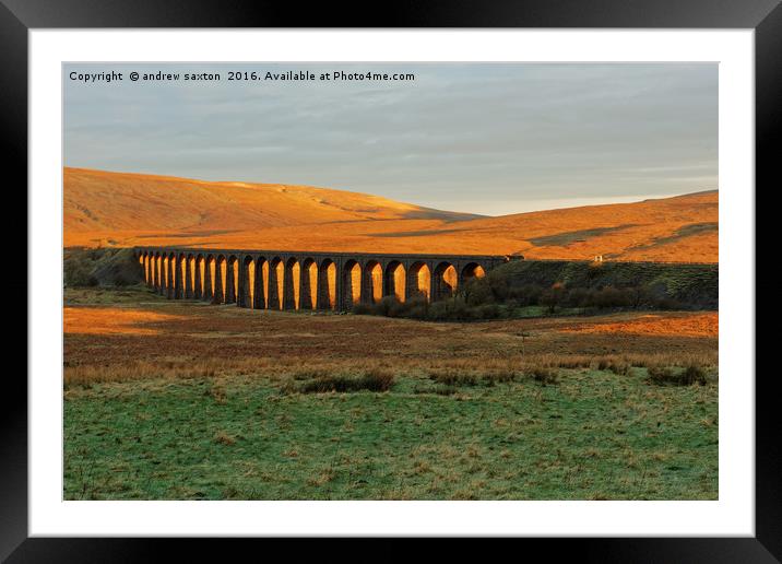 RIBBLEHEAD VIADUCT Framed Mounted Print by andrew saxton