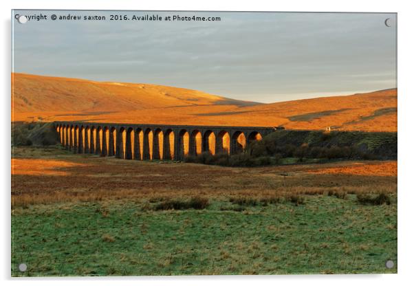 RIBBLEHEAD VIADUCT Acrylic by andrew saxton