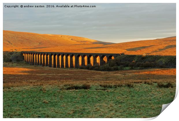 RIBBLEHEAD VIADUCT Print by andrew saxton