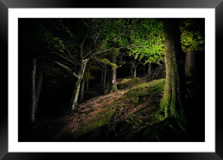 Night in the Woods Framed Mounted Print by Martin Williams
