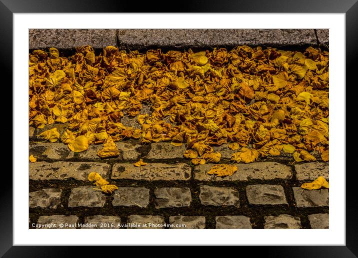 Autumn Leaves Framed Mounted Print by Paul Madden