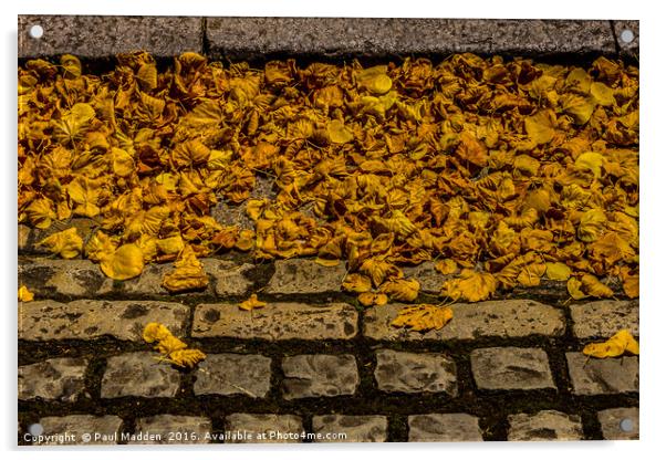 Autumn Leaves Acrylic by Paul Madden