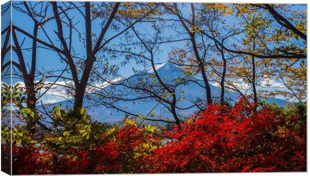 Mt Fuji through the autumn trees Canvas Print by Kevin Livingstone