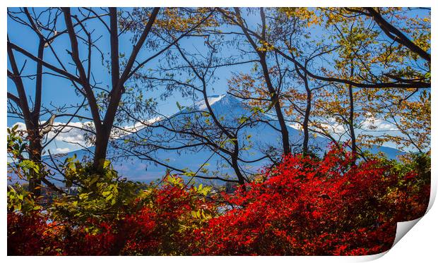 Mt Fuji through the autumn trees Print by Kevin Livingstone