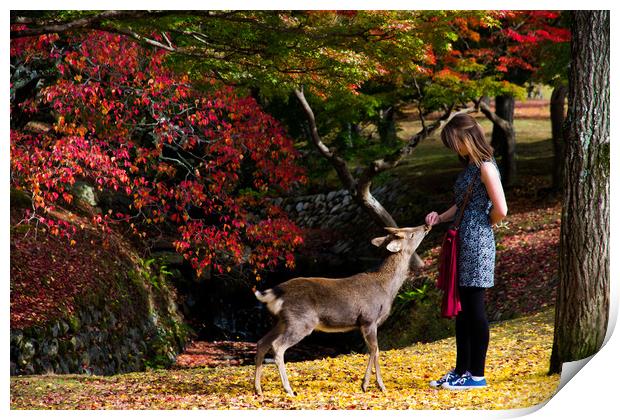 Feeding the hungry deer, Nara, Japan Print by Kevin Livingstone