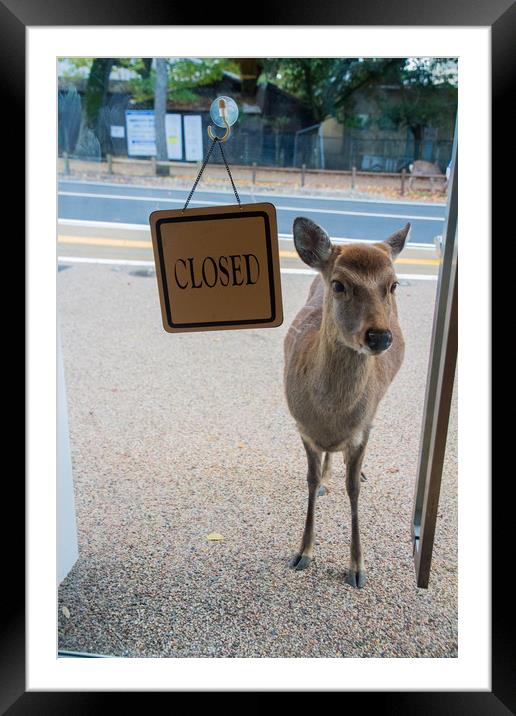 No deer allowed! Framed Mounted Print by Kevin Livingstone