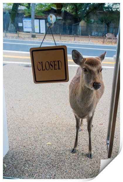 No deer allowed! Print by Kevin Livingstone