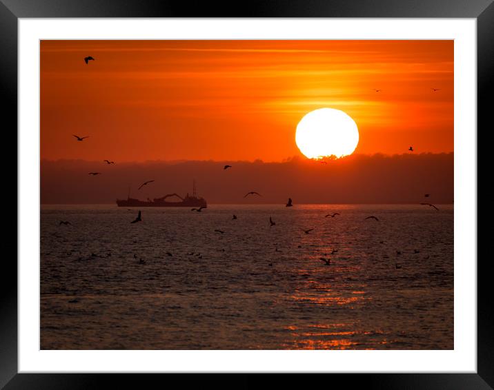 Orange Flight Framed Mounted Print by Purple OneTwoEight
