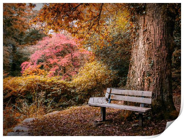 Seated in Autumn  Print by Purple OneTwoEight