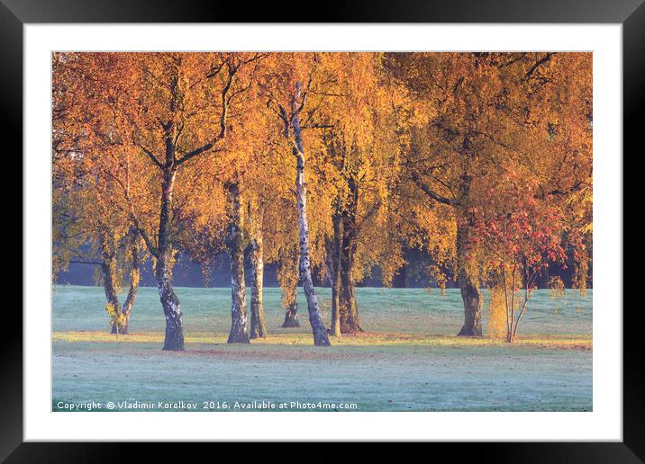 Birch trees Framed Mounted Print by Vladimir Korolkov