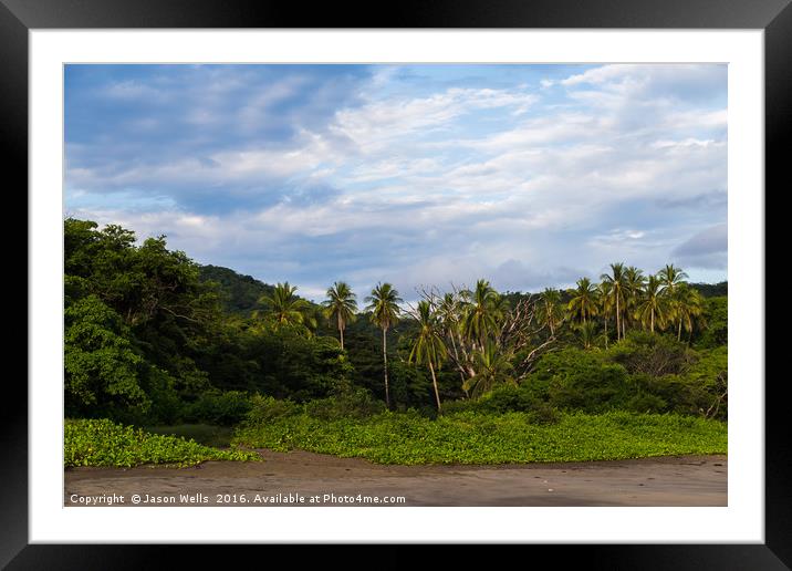 Lush green landscape meets the Pacific Ocean Framed Mounted Print by Jason Wells