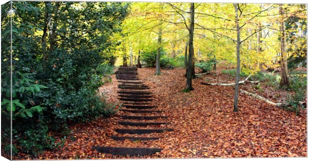 Stairway to Autumn Canvas Print by laurence hyde