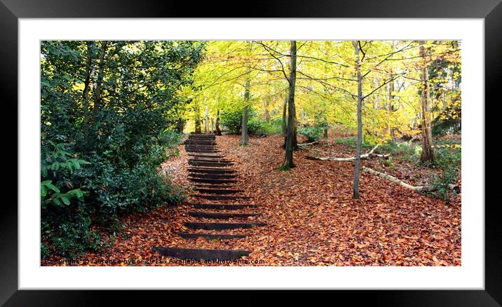 Stairway to Autumn Framed Mounted Print by laurence hyde