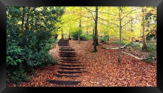 Stairway to Autumn Framed Print by laurence hyde