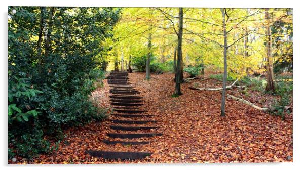 Stairway to Autumn Acrylic by laurence hyde