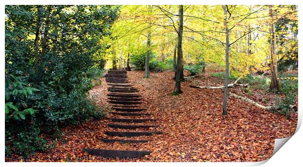 Stairway to Autumn Print by laurence hyde