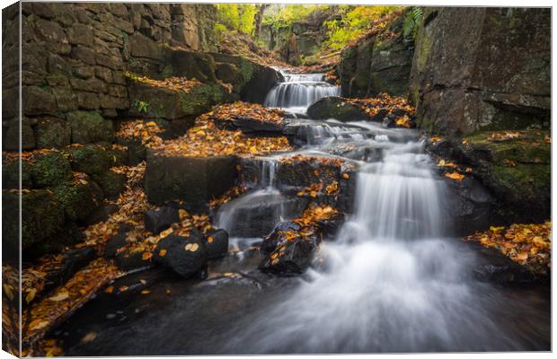 Lumsdale Cascade  Canvas Print by James Grant