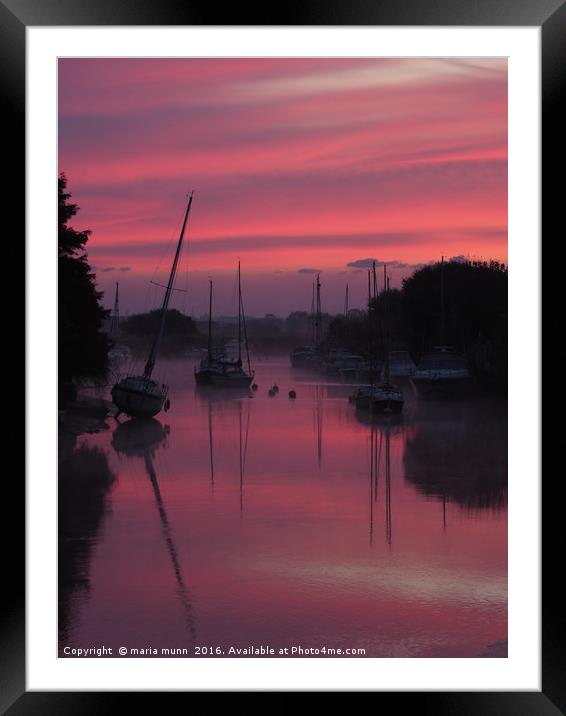 Sunrise on the River Frome at Wareham, Dorset Framed Mounted Print by maria munn