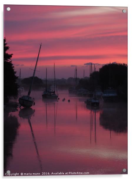 Sunrise on the River Frome at Wareham, Dorset Acrylic by maria munn