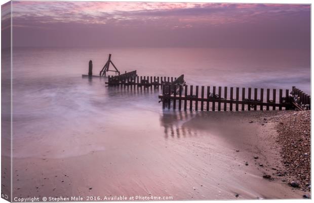 Groyne disappearing into the North Sea Canvas Print by Stephen Mole