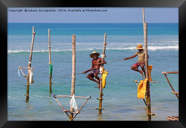 Stilt fishing, Weligama, Sri Lanka Framed Print by Łukasz Szczepański