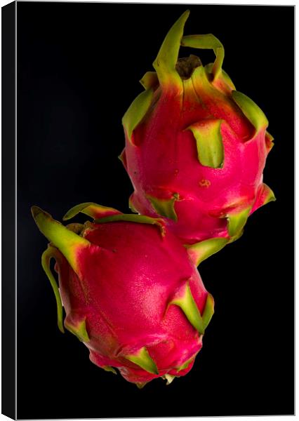 Pink Dragon Fruit  Canvas Print by David French