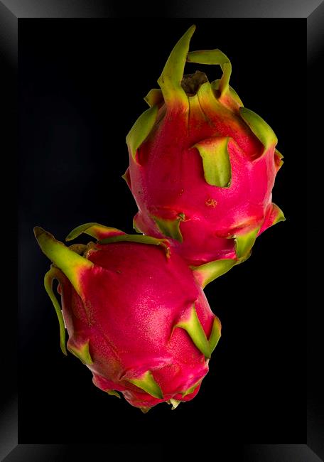 Pink Dragon Fruit  Framed Print by David French