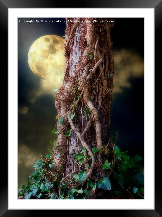 A Hunters Moon Framed Mounted Print by Christine Lake