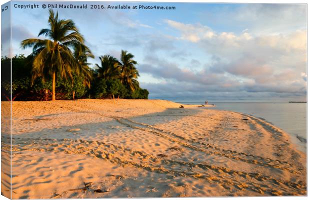 Turtle Island, Selingan Island in Borneo Canvas Print by Phil MacDonald