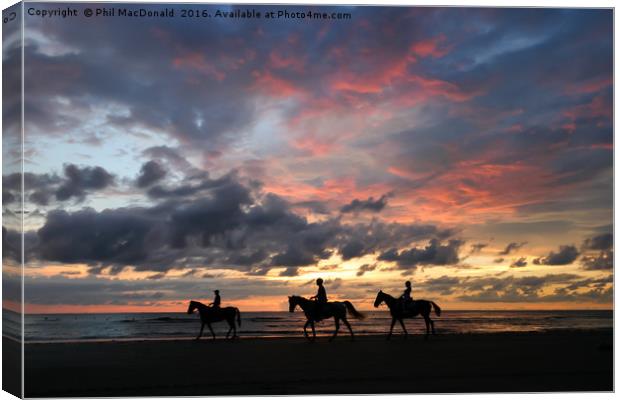 Pantai Dalit beach in Borneo, Sunset Horse Riders Canvas Print by Phil MacDonald