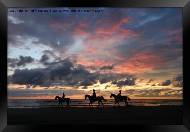 Pantai Dalit beach in Borneo, Sunset Horse Riders Framed Print by Phil MacDonald