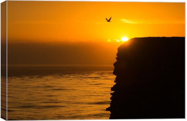Nash point sunset silhouette Canvas Print by Dean Merry