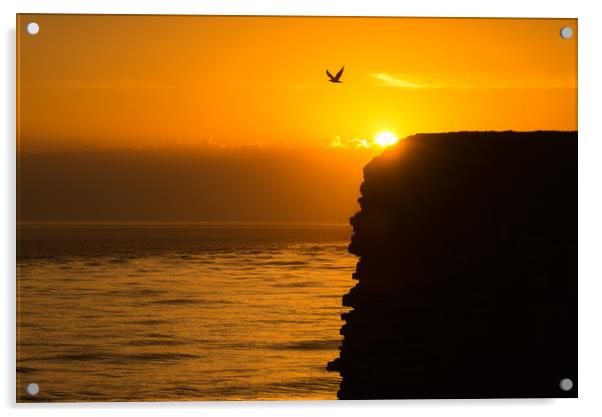 Nash point sunset silhouette Acrylic by Dean Merry