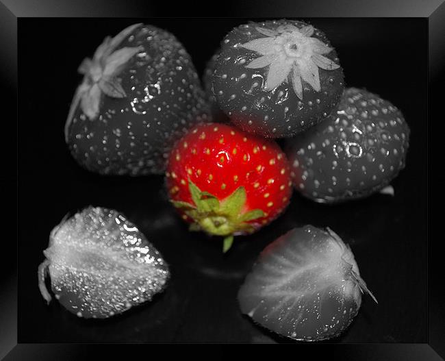 Strawberries Framed Print by Madeline Harris