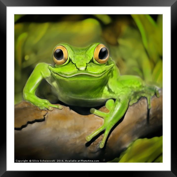 Little frog Framed Mounted Print by Silvio Schoisswohl