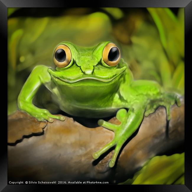Little frog Framed Print by Silvio Schoisswohl
